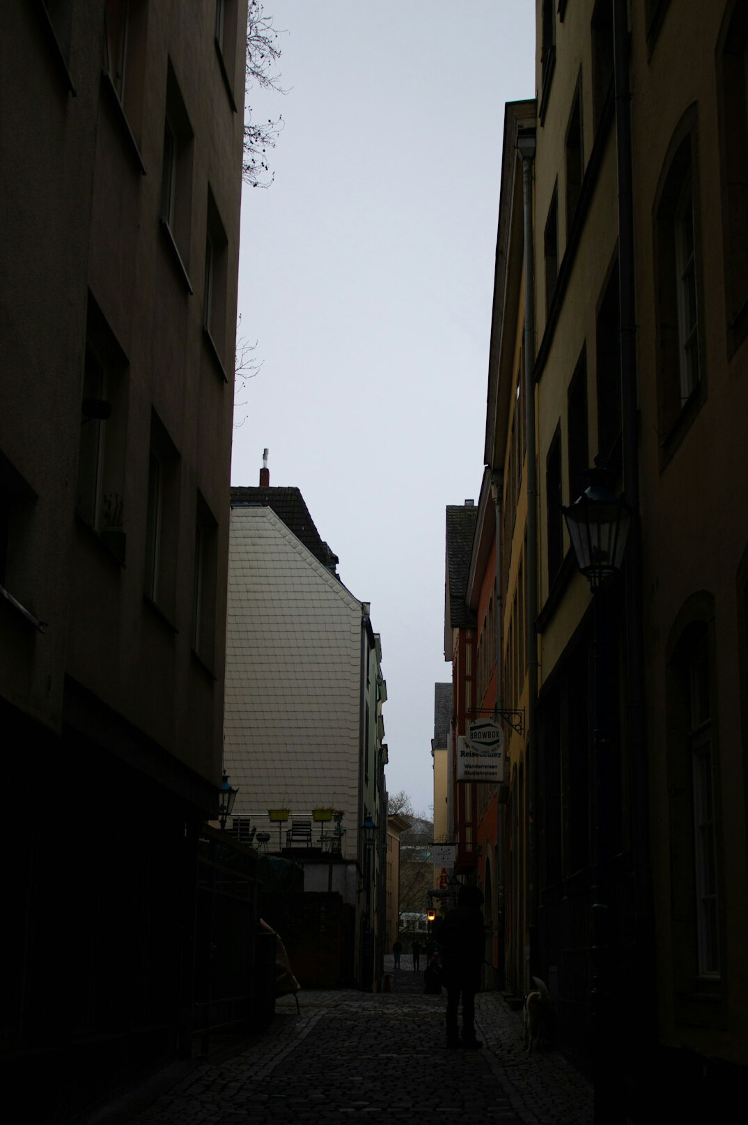 Foggy cobblestone alley at dusk